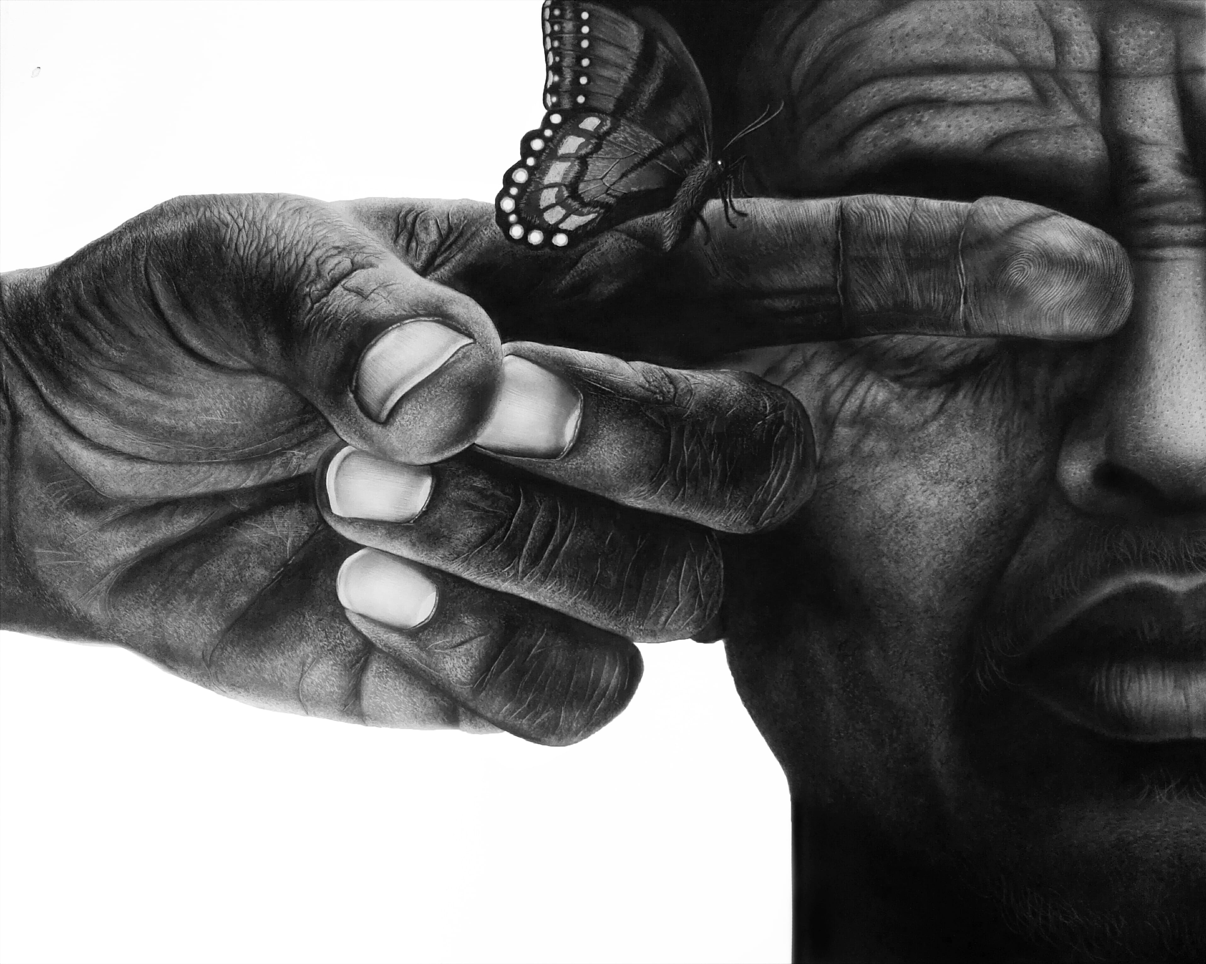 I Wonder — Charcoal on Paper by Gaurav Babu Ghimire