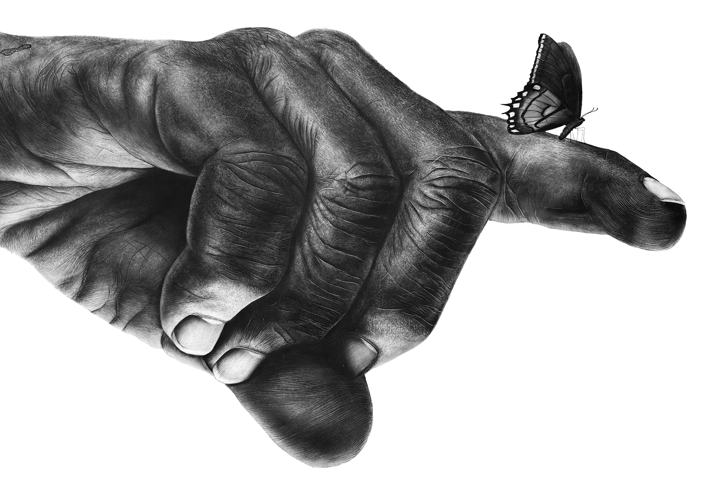 Michelangelo Effect I — Charcoal on Paper, 2026