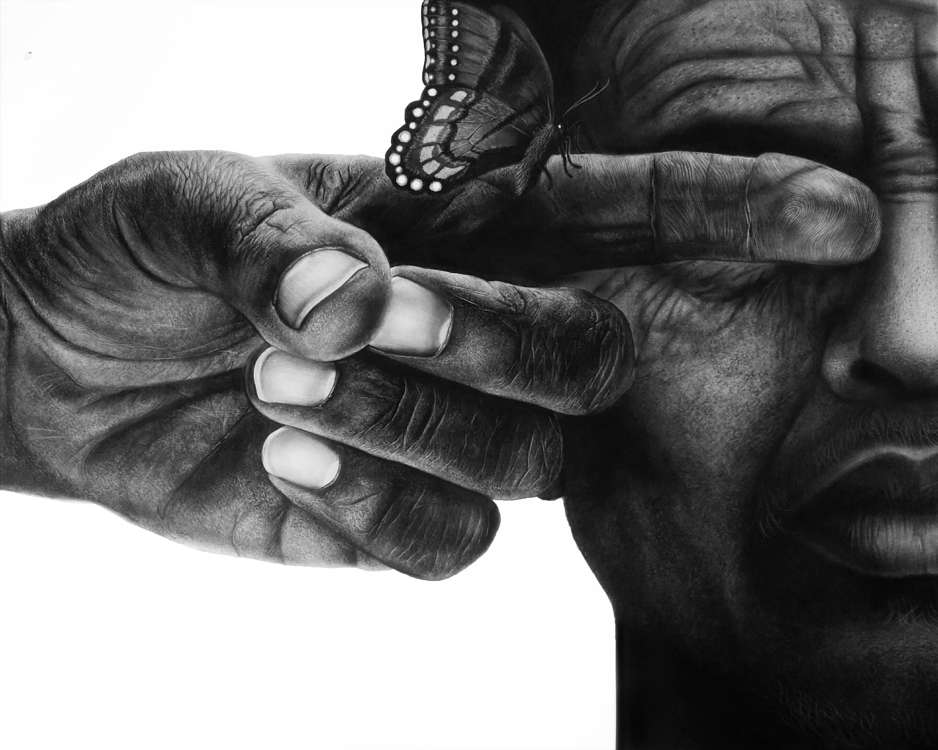 I Wonder — Charcoal on Paper, 22 × 28 in, 2024