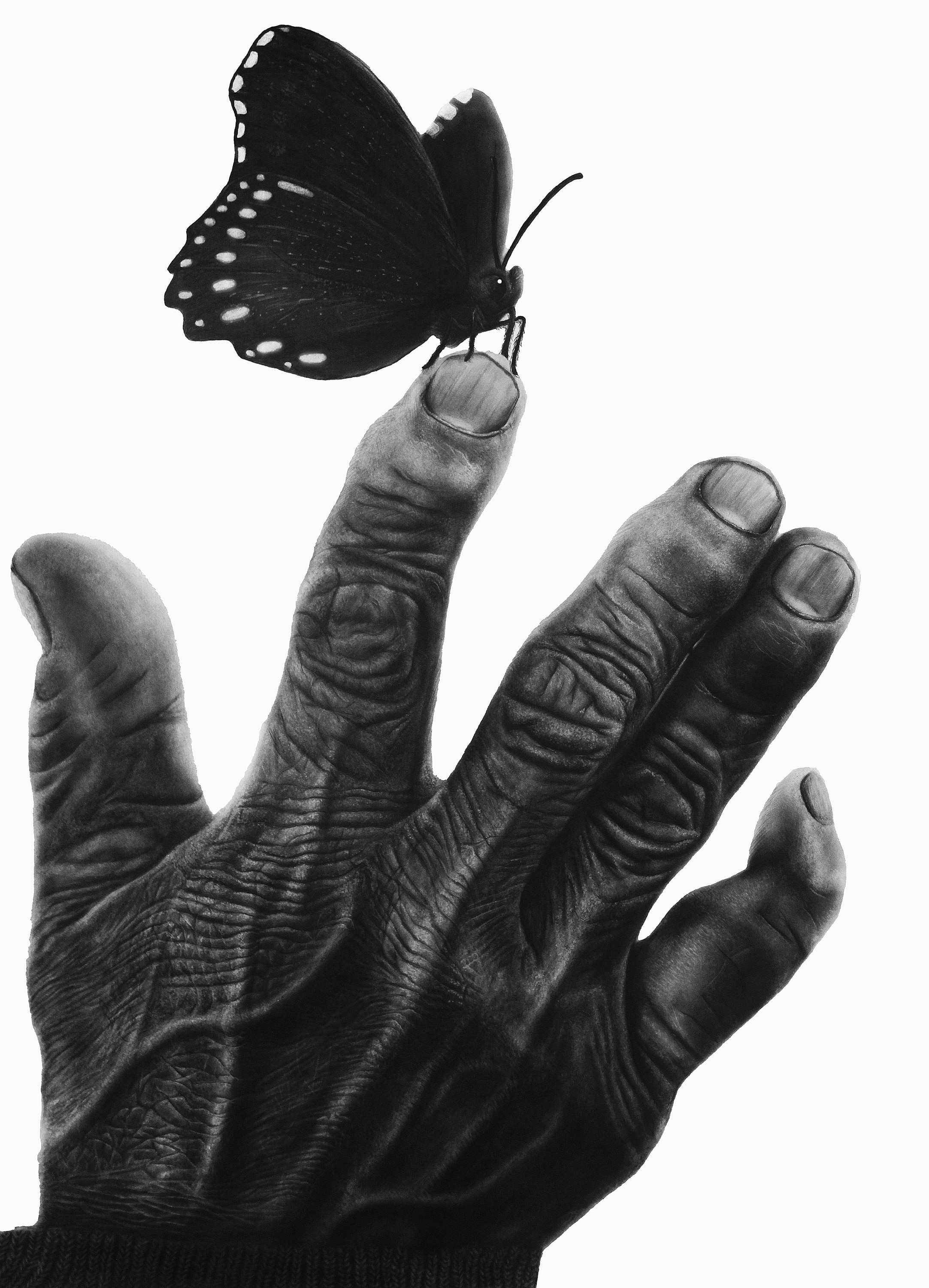 The Quiet Bloom — Charcoal on Paper, 2025